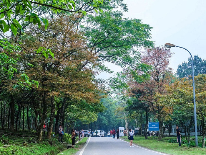 5 điểm đến ở ngoại thành Hà Nội dành cho tín đồ thích đi du lịch Tết Nguyên đán 2019