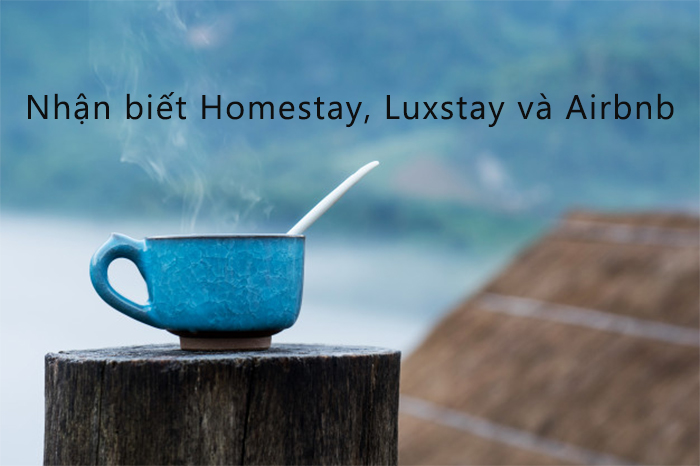 nhận biết homestay, luxstay và airbnb